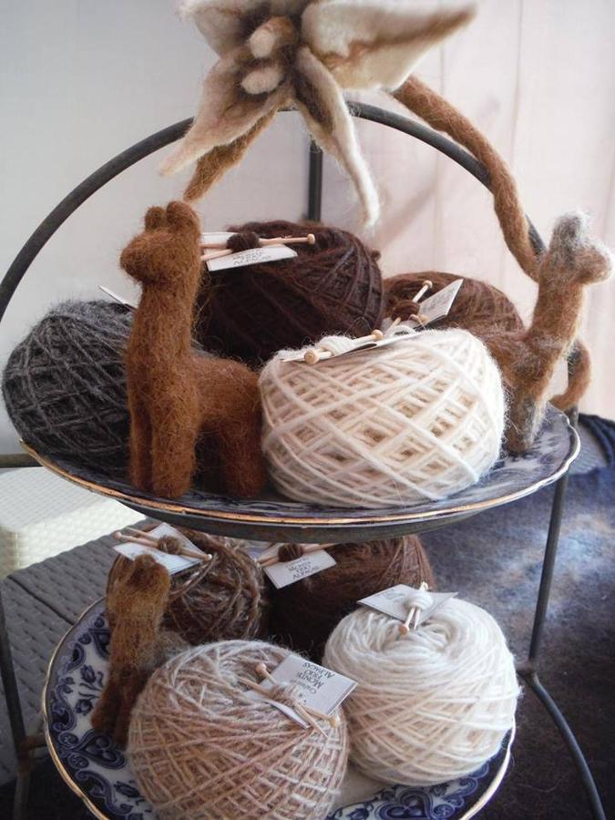 Вилла Monte Frio Alpacas Nariz Экстерьер фото