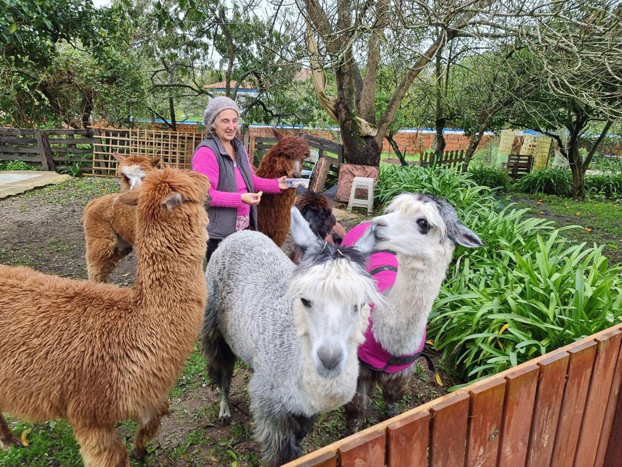 Вилла Monte Frio Alpacas Nariz Экстерьер фото